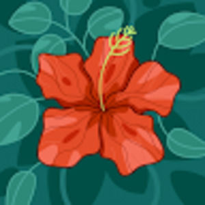 Meet your Posher, Gidget